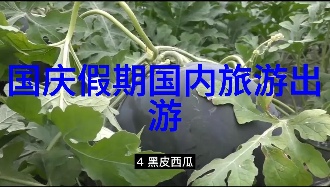 大理三日游攻略云南省最美丽的小城堡玩法分享