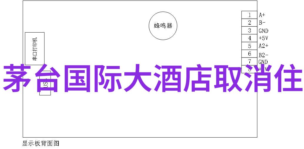 幼儿园集体户外活动丰富多彩户外探索自然教育体育游戏艺术创作