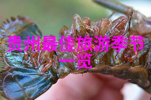 河南自驾游探秘揭开河南省的自然风光与文化古迹