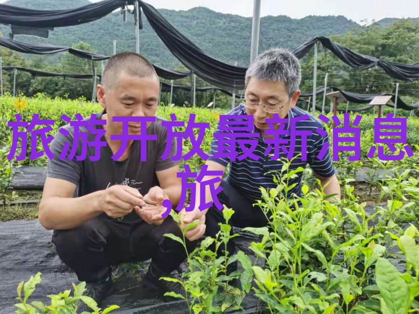 他是那个默默守护家庭的模范丈夫