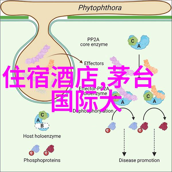 美国第十次啦我又去尝试了那个超级火的美食节