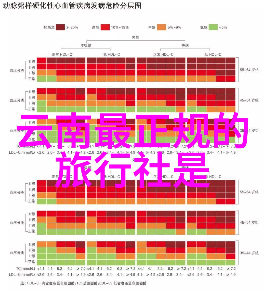 探秘中国十大小吃街的风味之都