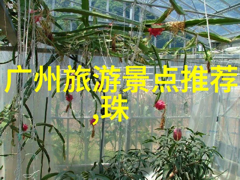 赣州武功山佛教文化节活动一览