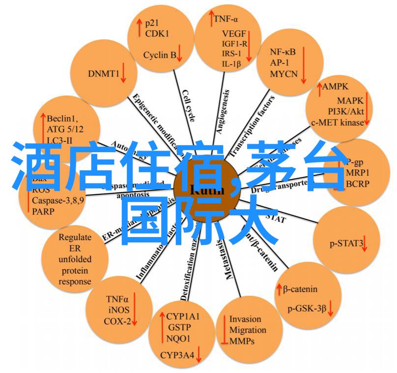 女性骑自行车的好处-风中飘扬女性骑行之旅的魅力与益处