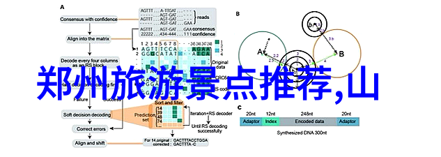 铁律统治的力量与柔韧