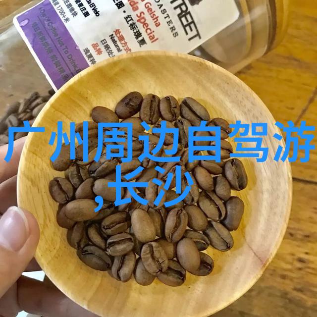 长沙自驾游趣味一日安全出行保险买哪家好