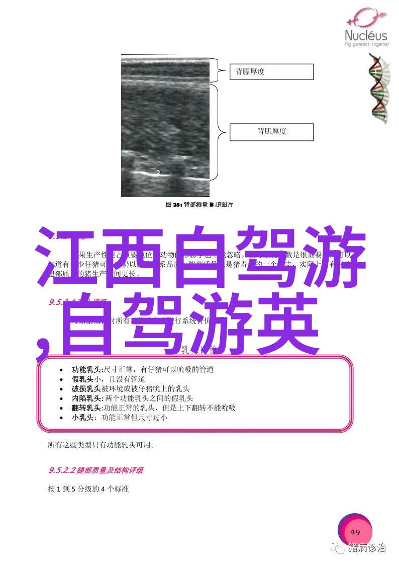 日本野花全集免费观看中文版5探索日本美丽野花的全新体验