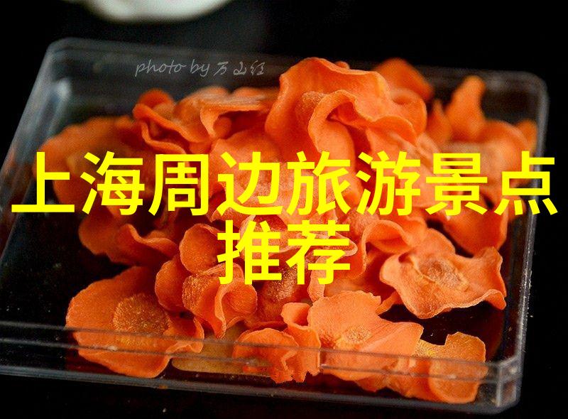 古埃及神秘的守护者金字塔背后的故事