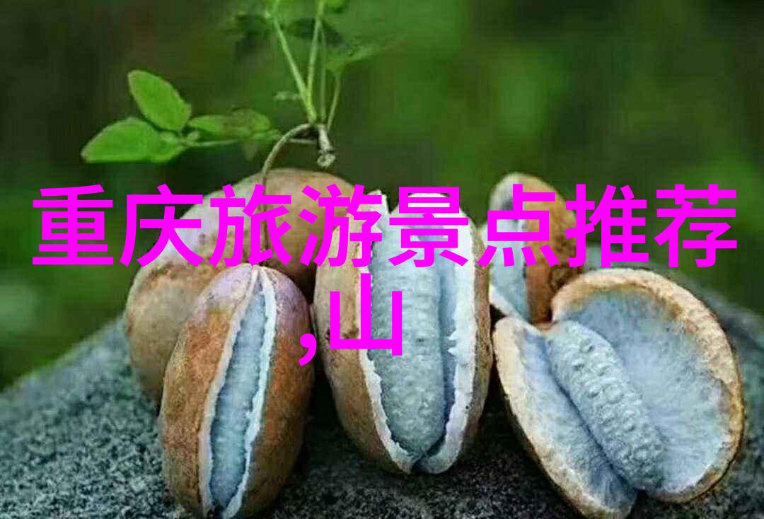 团队合作是关键但在紧张繁忙的工作日安排时间进行哪种形式的团体活动才合适呢