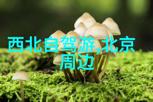 荔波小径的七个秘密