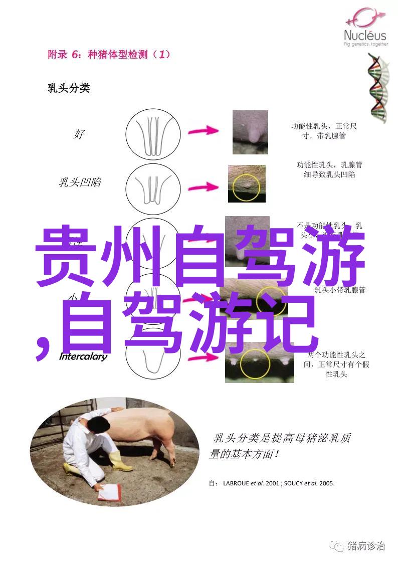 独特文化体验苏州特色小吃你知道多少