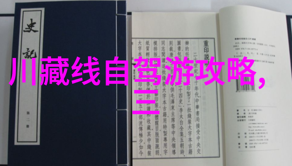 城市交通中的无形游戏公交车末排的社交现象探究