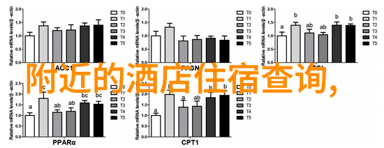 开弧线的旅行者自驾游的不规则乐章