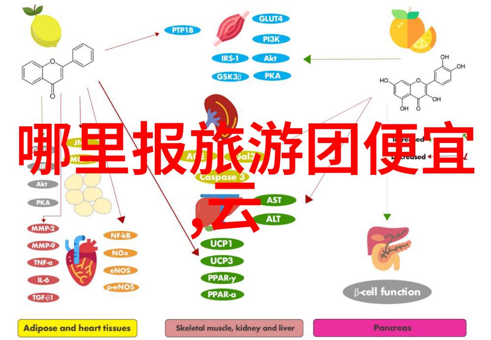 探索中国美丽风光一站式指南