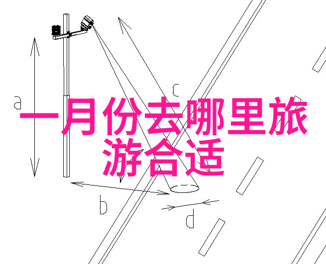 冰封大陆上的野生动物节日二月是不是最佳观察极地野生动用的时间点