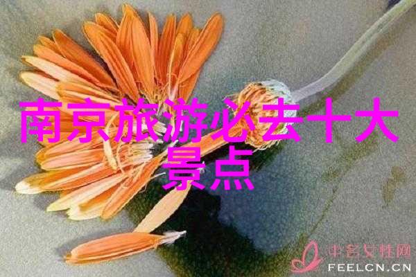 品味印象城揭秘那些令人难忘的美食