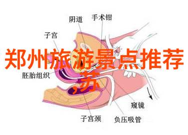 从边塞到天子脚下霍去病的荣耀之路