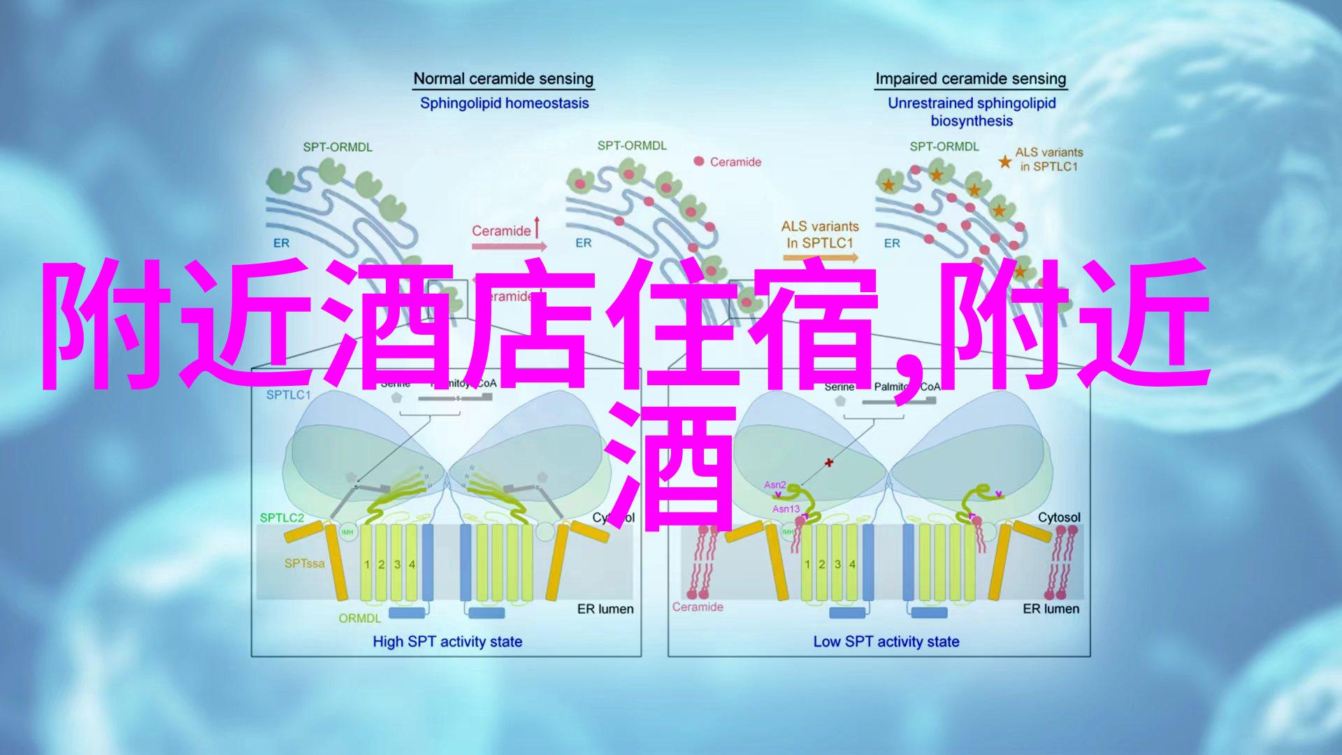 雨水节气天空如洗碧地面润物细无声而您是否还在担心这冷风不退让我们借助旅游咨询公司的智慧让步入雨水节气