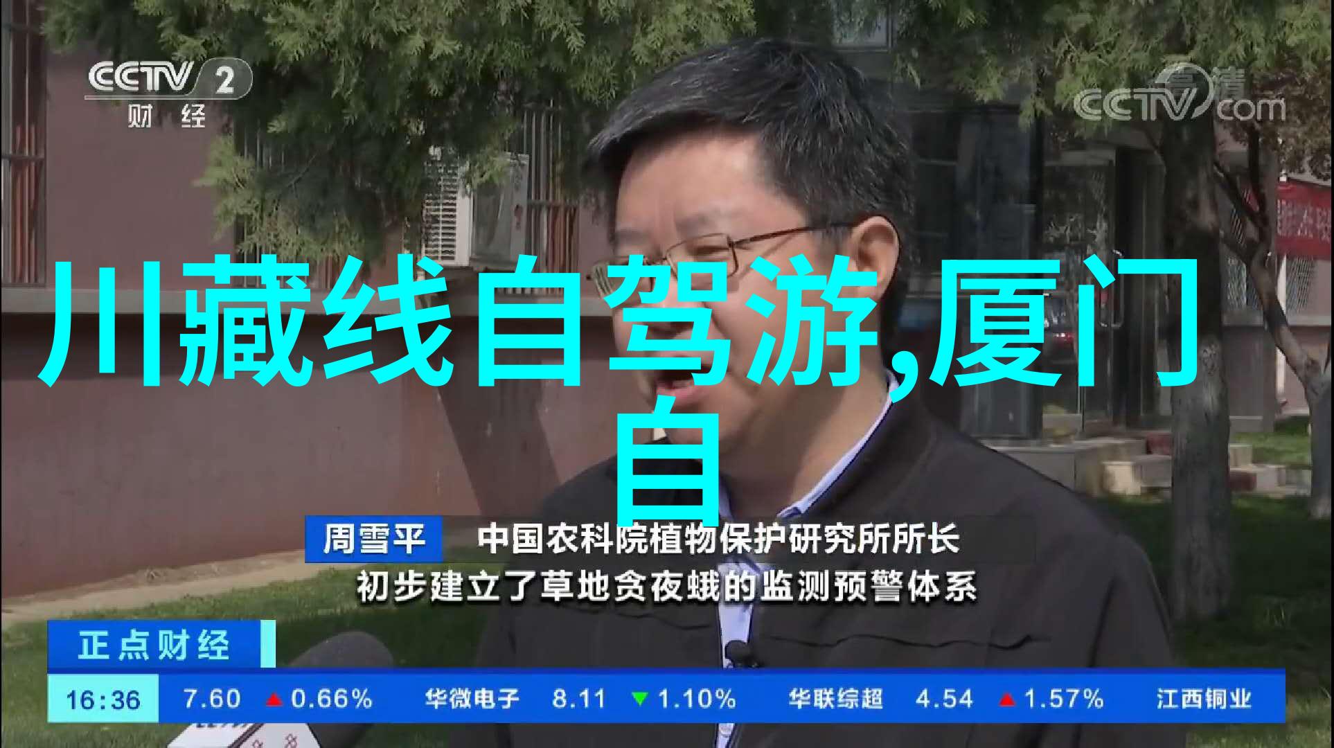 上海旅游必去景点推荐 - 缤纷华丽的城市风光探索上海不容错过的名胜古迹