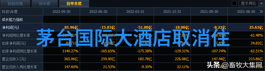 户外拓展活动的目的和意义-提升团队协作力激发个人潜能探索户外拓展活动的内在价值