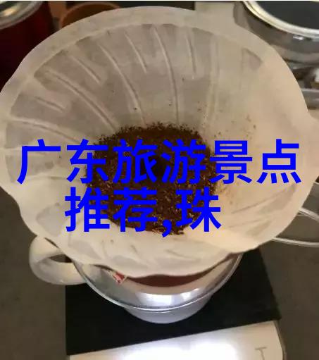 老婆不在家看的网站一场关于爱情与隐私的无声交响曲