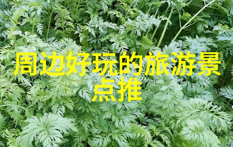 白莲艳史我和那些花儿的故事白莲艳史