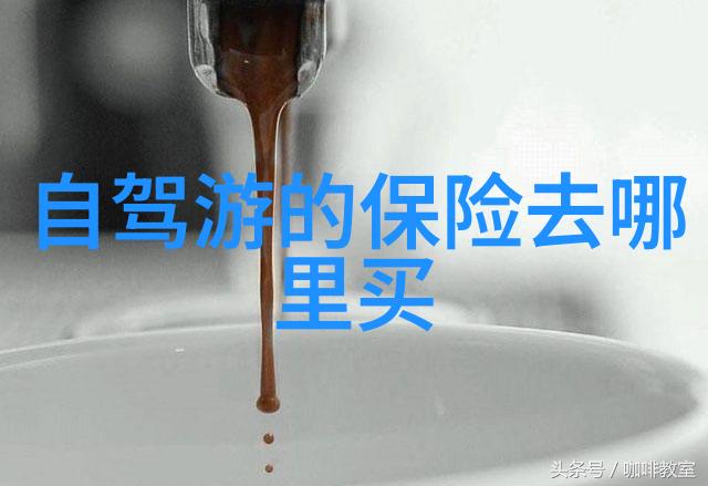 北京美食指南探索老北京小吃的魅力