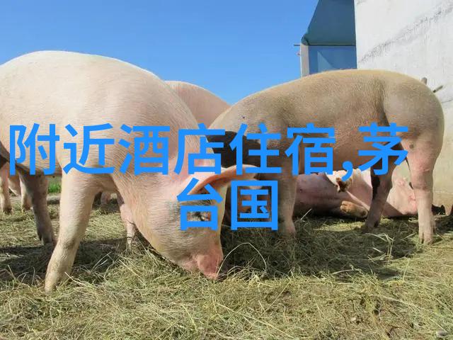 探寻美食天堂全球城市美食盛宴比拼