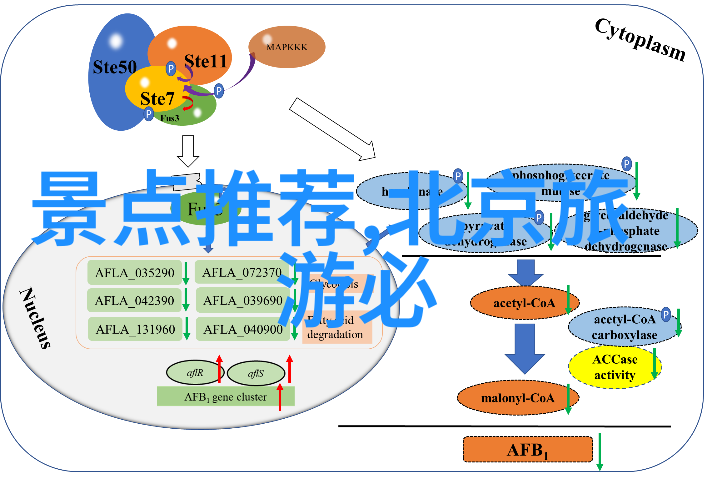 烟台之旅选择合适的住宿方式体验美好时光