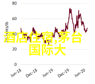 跨越障碍不畏艰难山地自行车探险的心灵历程与成长故事