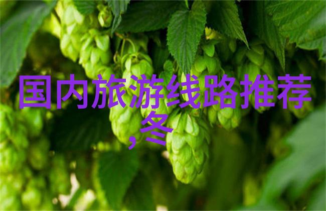 文化艺术融合享受非凡视觉盛宴艺术主题酒店探秘