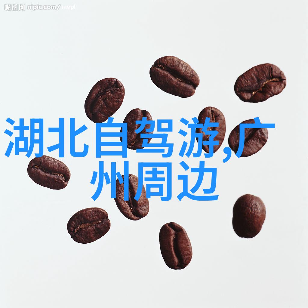 浦江美食探秘品味上海的舌尖传奇