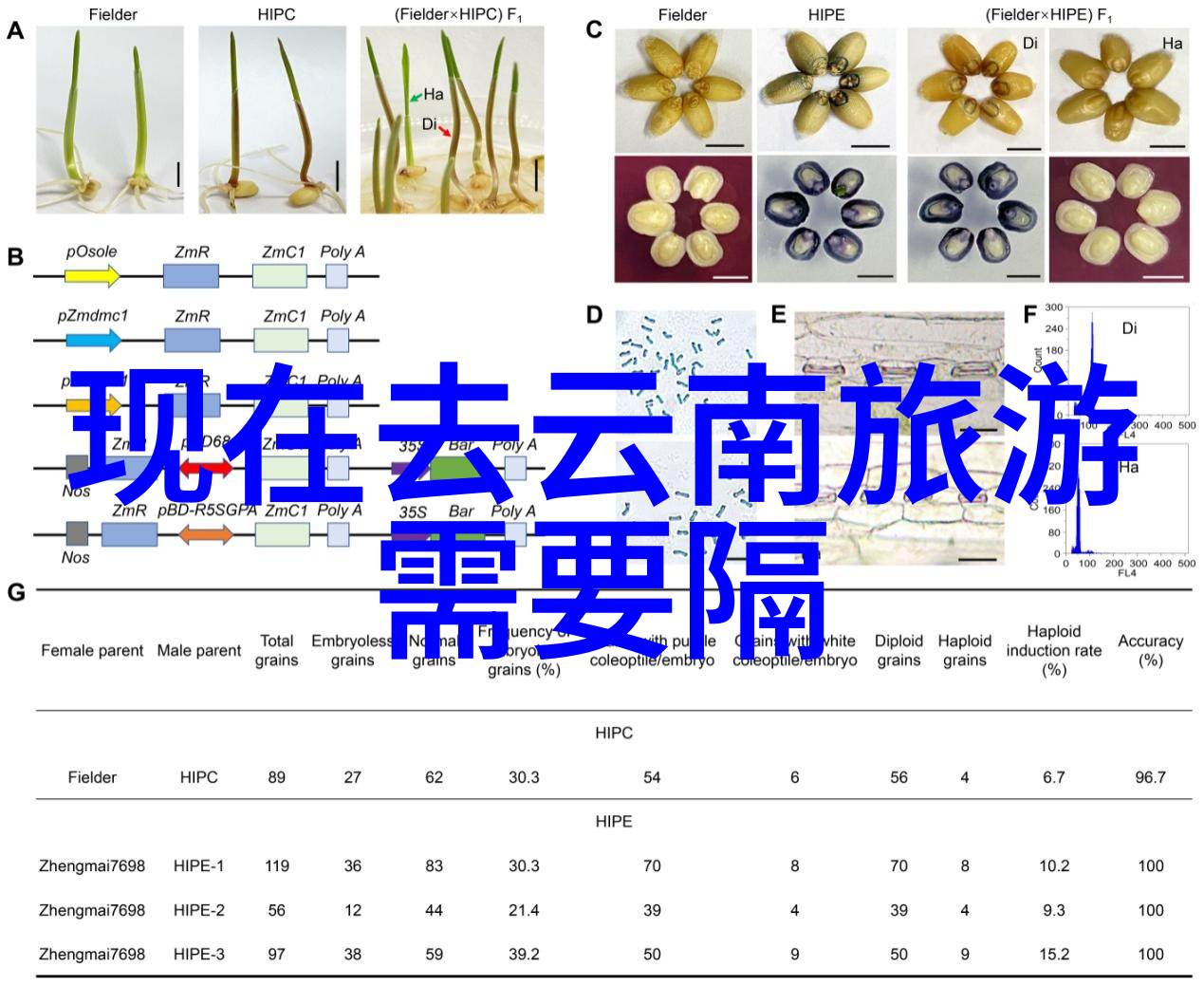 远方轮廓新手长途骑行的未知篇章