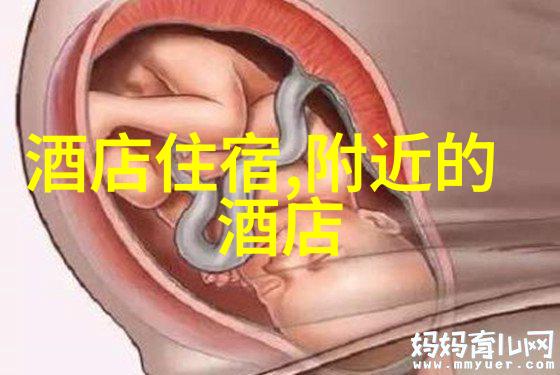 行者无疆 探索自由精神在游记中的展现方式