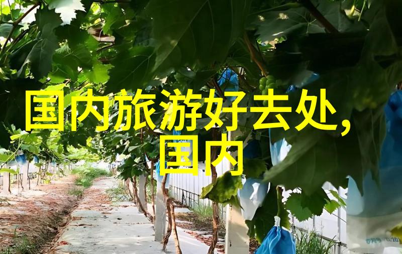 2021性价比高的山地车推荐我来帮你揭秘那些性价比超高的山地车