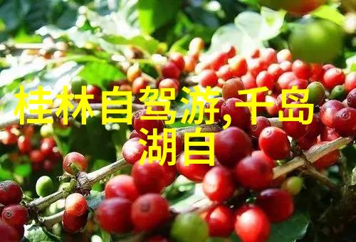 创想之地儿童乐园的梦幻起航