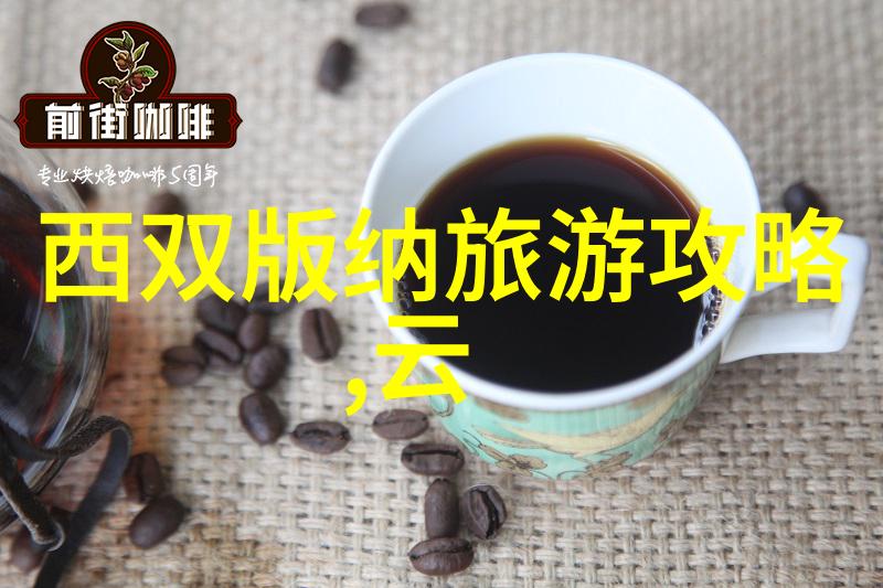 唐僧师徒四人行遇到张纪中他们的幽默修行