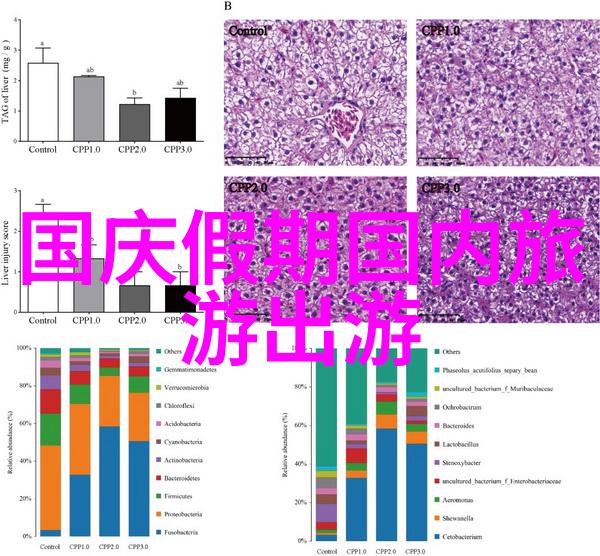 ABO成结顶腔海棠血型秘密与花间缘分