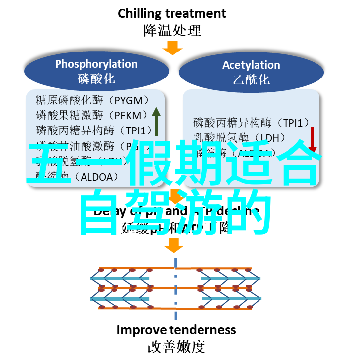 成都古韵沉淀与现代繁华交融的奇迹之地