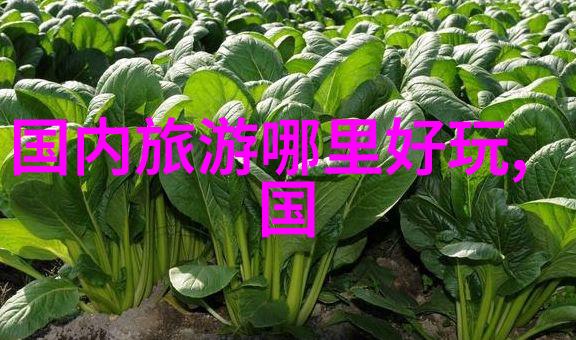 澳洲名校招生热门项目解析