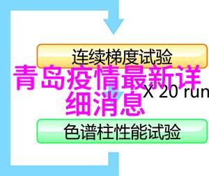 中国四大小吃街在哪里-探索中国美食之旅揭秘四大小吃街的魅力与位置