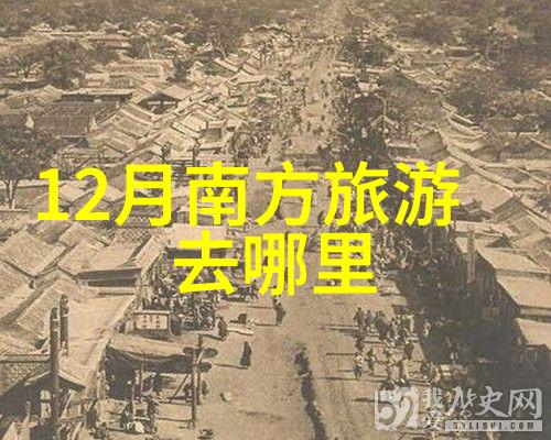 2021年4虎的新地址是多少-追踪四虎踪迹揭秘他们最新的藏身之地