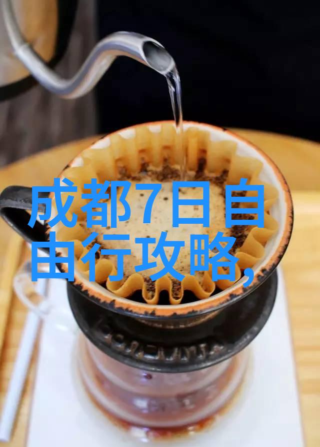 北京小吃之旅探索香脆的街头美食