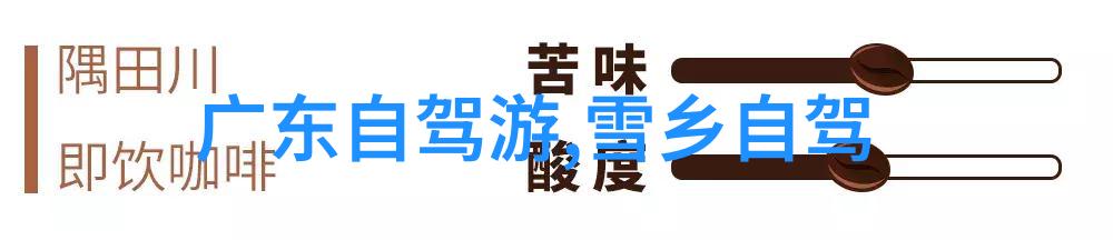 月骑挑战每天30分钟坚持单车运动的生活方式改变