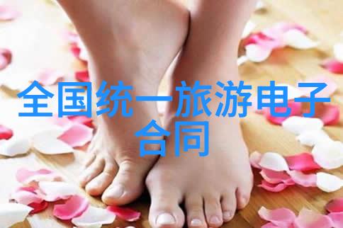 白莲艳史中国古典戏剧中的白莲花形象与其在历史上的演变