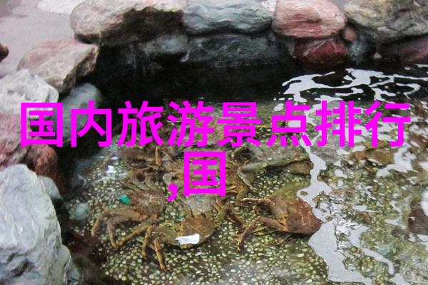 长途骑行前如何进行初学者的长途自行车训练计划