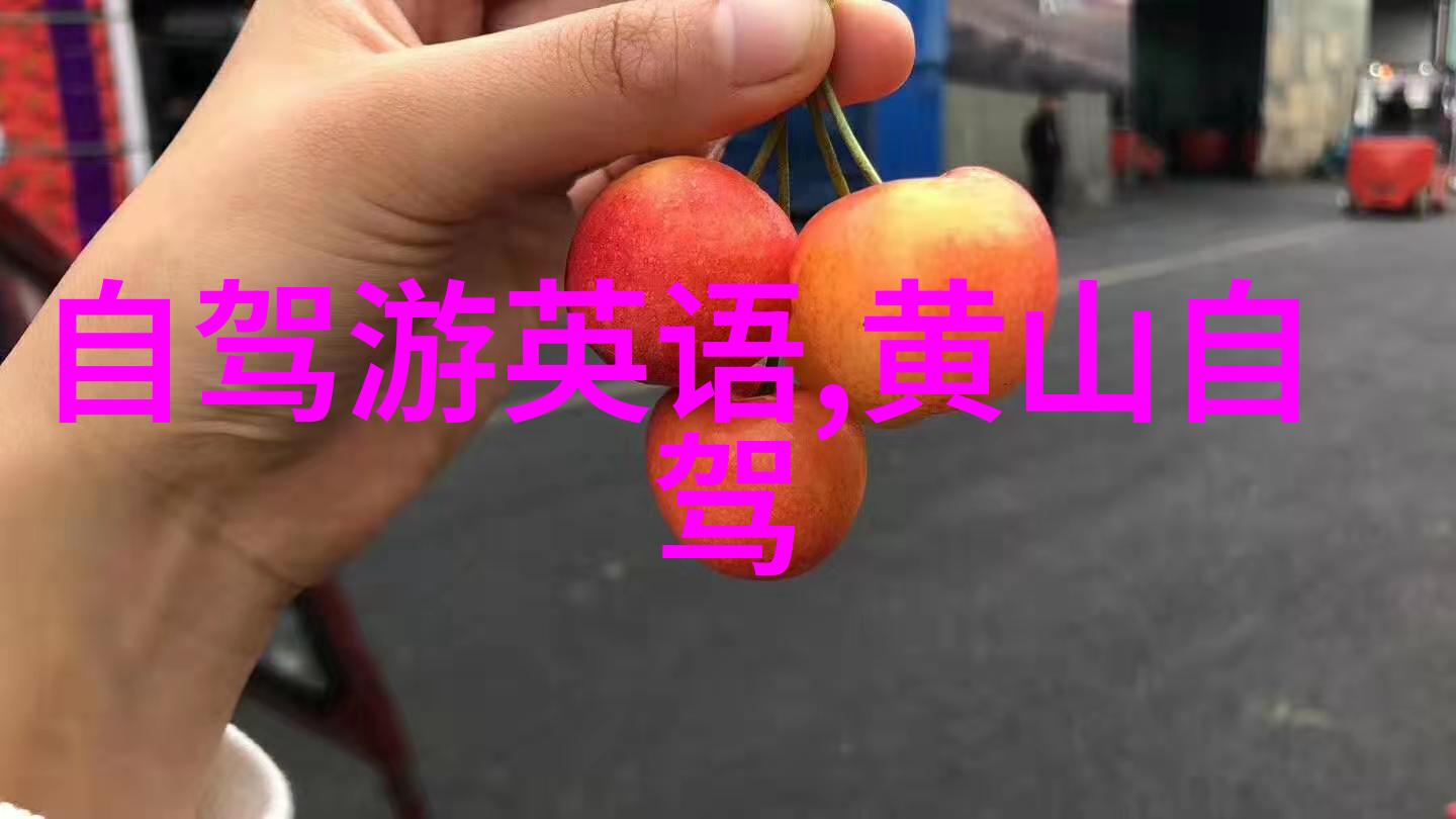 冷暖参半的美食体验雪乡特色小吃一网打尽