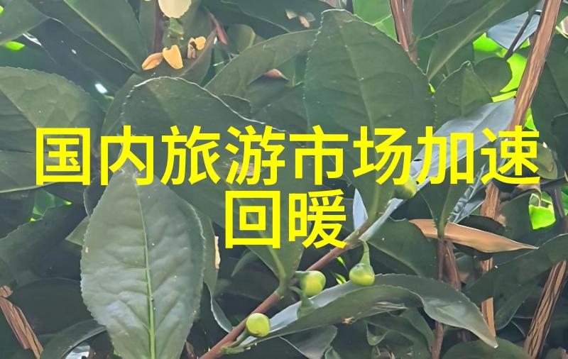 三个人弄的我走不了路视频趣味搞笑短片