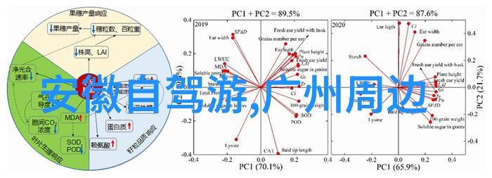 登高望远最佳观景点名单尽览汉中的美丽全貌