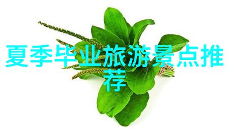 泡泡球游戏公园中最有趣的社交体验